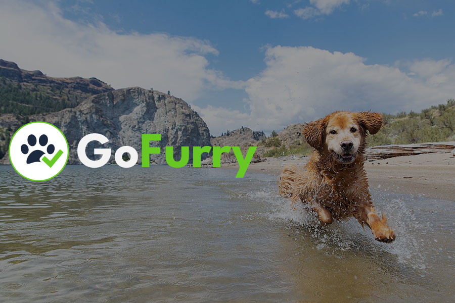 GoFurry has launched!